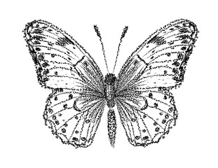 Graphic butterfly of black dots. hand drawing. Not AI, Illustrat3 . Vector illustration