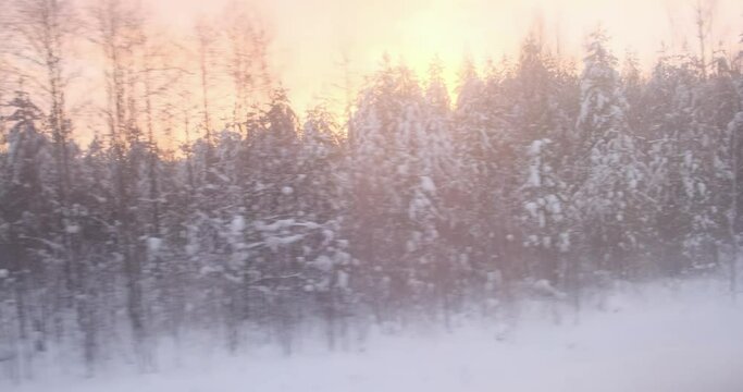 The train's journey paints a picturesque scene of woods, their icy branches glowing in the twilight of winter sunset.