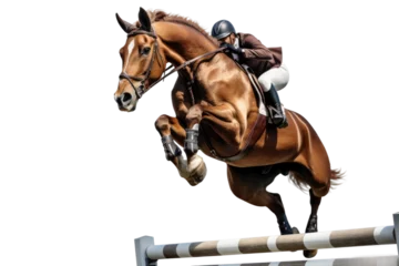 Wandaufkleber Horse Leaping Over Hurdles on isolated background © Artimas 
