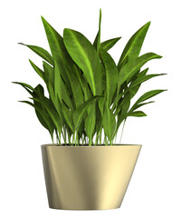 3d render of potted plant isolated background. Scene Creator.