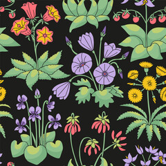 Seamless pattern with canary islands flowers on black background. Vintage floral wallpaper