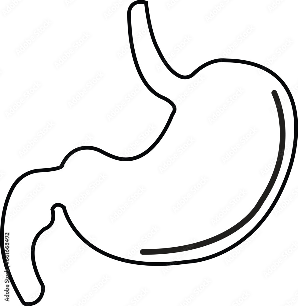 Poster stomach icon. human internal organs symbol with editable stock. digestive system anatomy. vector ill
