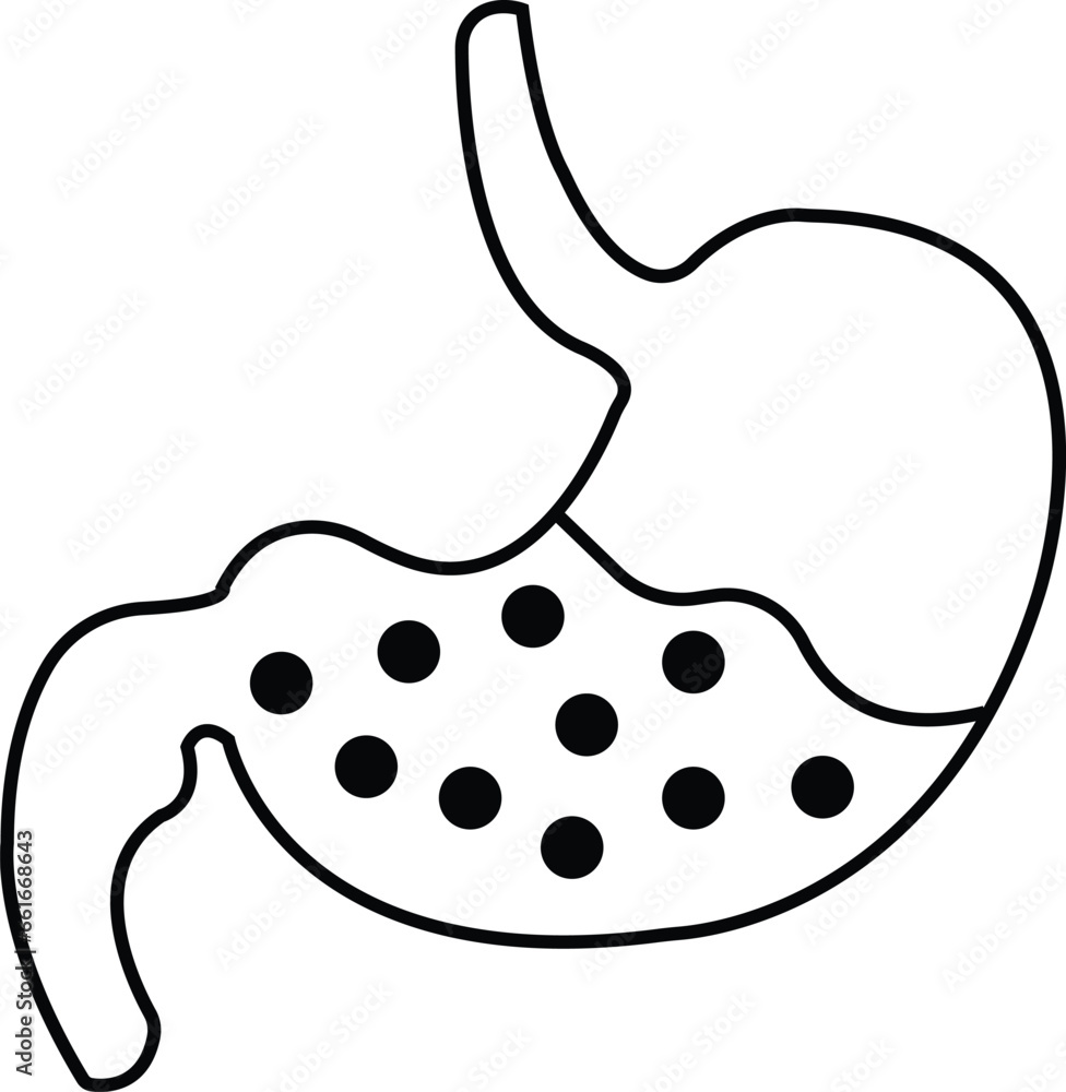 Poster stomach icon. human internal organs symbol with editable stock. digestive system anatomy. vector ill