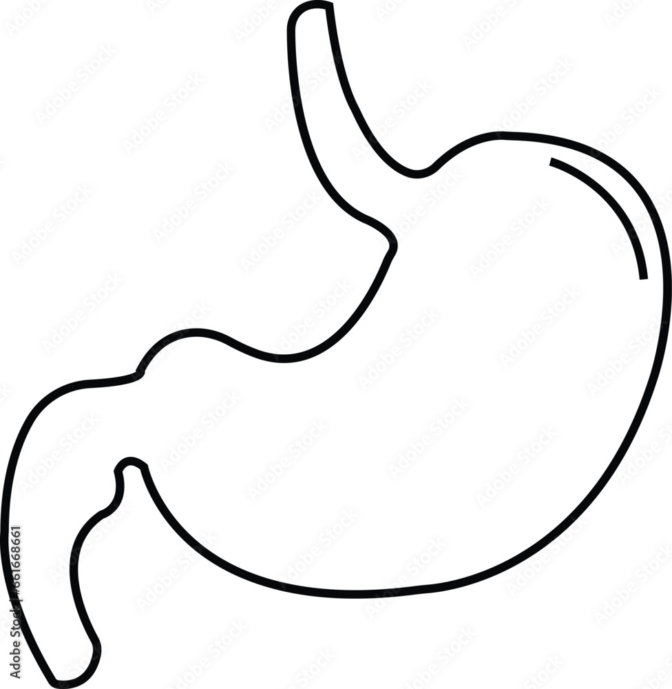 Poster stomach icon. human internal organs symbol with editable stock. digestive system anatomy. vector ill