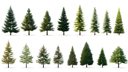 Christmas tree clipart set. Collection of green trees isolated on white background vector...