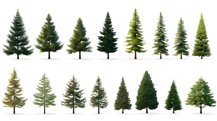 Gardinen Christmas tree clipart set. Collection of green trees isolated on white background vector illustration set. Christmas card. © agustin