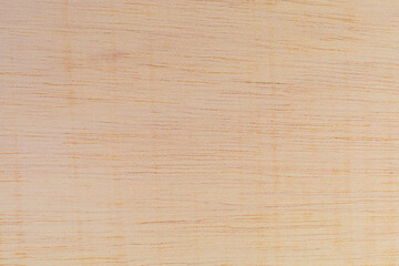 Light rough textured cut surface of an African tree. Wood background or blank for design