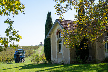 Views of wine domain or chateau in Haut-Medoc red wine making region, Pauillac village, Bordeaux,...