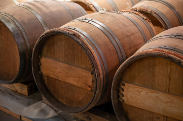 Wine cellar with wooden barrels in old wine domain on Sauternes vineyards in Barsac village affected by Botrytis cinerea noble rot, making of sweet dessert Sauternes wines in Bordeaux, France