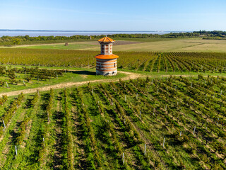 Aerial view on vineyards, Gironde river, wine domain or chateau in Haut-Medoc red wine making...