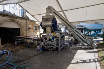 Harvest works in Pauillac, Haut-Medoc wine making region of Bordeaux, picking, sorting with hands,...