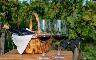 Tasting of Bordeaux blended red wine on green vineyards with rows of red Cabernet Sauvignon grape...