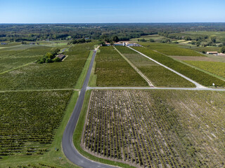 Aerial view on Sauternes village and vineyards, making of sweet dessert Sauternes wines from Semillon grapes affected by Botrytis cinerea noble rot in Bordeaux, France