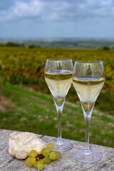 Tasting of grand cru sparkling white wine with bubbles champagne on chardonnay vineyards in Avize,  grand cru wine producer small village, Cote des Blancs, Champagne, France