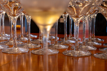 Wine tasting in old wine domain, Saint Estephe village, Haut-Medoc vineyards in Bordeaux, left bank of Gironde Estuary, France, wine tour in Bordeaux