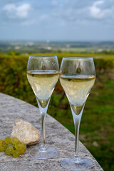 Tasting of grand cru sparkling white wine with bubbles champagne on chardonnay vineyards in Avize,  grand cru wine producer small village, Cote des Blancs, Champagne, France