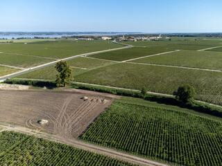 Aerial view on vineyards, Gironde river, wine domain or chateau in Haut-Medoc red wine making region, , Bordeaux, left bank of Gironde Estuary, France