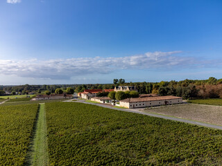 Fototapeta na wymiar Aerial view on left bank of Gironde Estuary with green vineyards with red Cabernet Sauvignon grape variety of famous Haut-Medoc red wine making region, Bordeaux, France