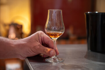 Tasting of cognac spirit aged in old French oak barrels in cellar in distillery in Cognac white wine region, Charente, Segonzac, Grand Champagne, France