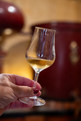 Tasting of cognac spirit aged in old French oak barrels in cellar in distillery in Cognac white wine region, Charente, Segonzac, Grand Champagne, France