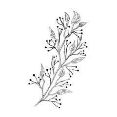 Naklejka premium Vector hand drawn kawaii coloring book illustration