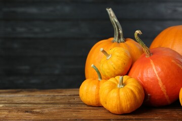 Thanksgiving day. Many different pumpkins on wooden table, space for text