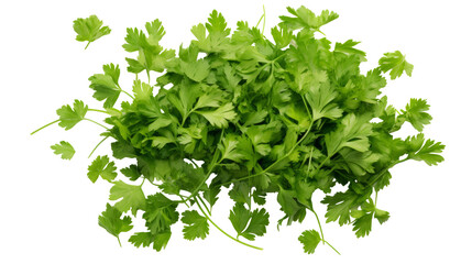 Obraz premium Parsley Herb Pieces Isolated on Transparent Background: Fresh Green Culinary Ingredient, PNG