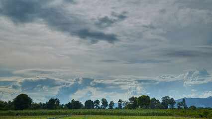 cloud before storm above summer landscape