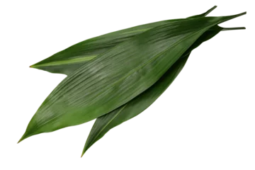 Fotobehang Haran(aspidistra elatior), leaf to put under the Japanese nigiri sushi.  © uckyo