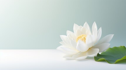 Portrait beautiful white lotus flower isolated on white background AI Generative