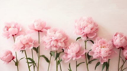 Naklejka na ściany i meble Portrait beautiful pink peony flower AI Generative