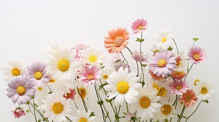 Portrait Beautiful mixed colorful daisy flower AI Generative