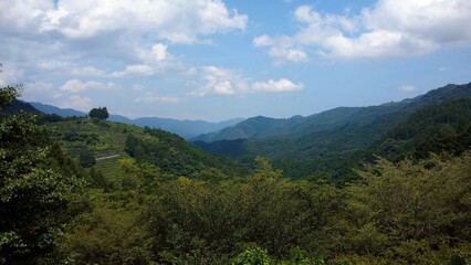 view of the mountain forest