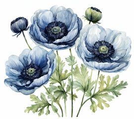Anemone flower with leafs, pastel watercolor drawing