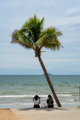 Two girls are sitting on the seashore under a palm tree in sunny weather. They hide in the shade of the wide palm leaves.