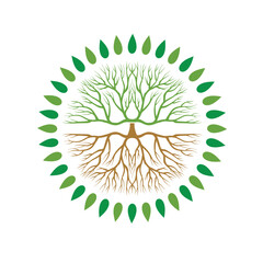 leaf and roots simple icon.