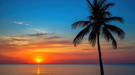 Lone palm silhouetted against a sunrise on a tranquil beach