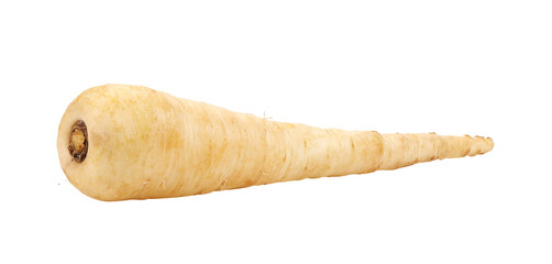  fresh parsnip roots on  transparent png