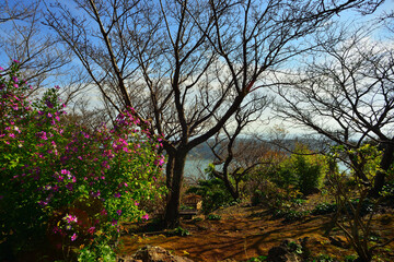 寝姿山自然公園_静岡県伊豆
