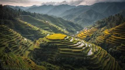 Foto op Plexiglas Rijstvelden Ai generative photo of typical Asian rice terraces