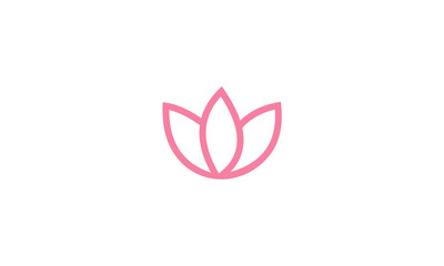 pink lotus flower