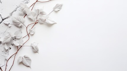 white background with a branch of white leaves and flowers on the left side. The branch has white leaves and flowers with thin brown stems, creating a delicate and graceful look.