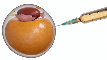Adipocytes or lipocytes or fat cells injected by medical syringe 3d rendering