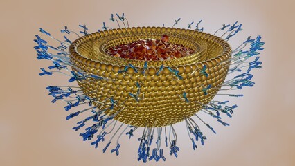 Antibody-modified liposomes, immuno-liposomes, can deliver encapsulated drugs to cells via the interaction of cell surface proteins with antibodies 3d rendering