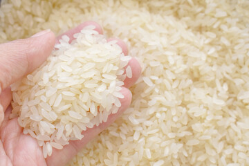Uncooked rice in hand. Parboiled rice. Healthy eating concept. Copy space is on the right.