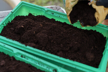 Planting seeds in plastic containers