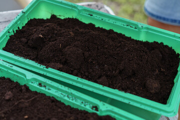 Planting seeds in plastic containers