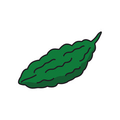 Bitter gourd vegetable isolated icon vector illustration graphic design.
