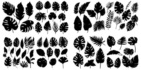 Tropical leave silhouettes - obrazy, fototapety, plakaty