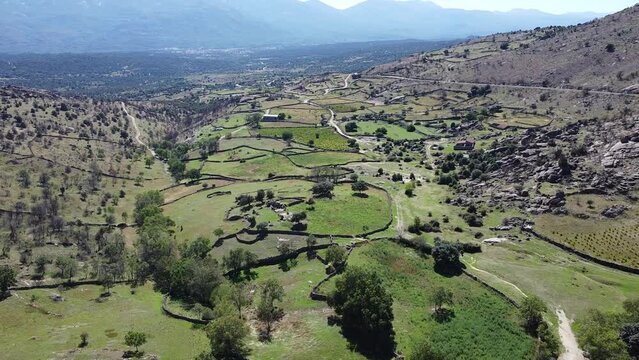 Valle verde con grandes praderas y arboles.